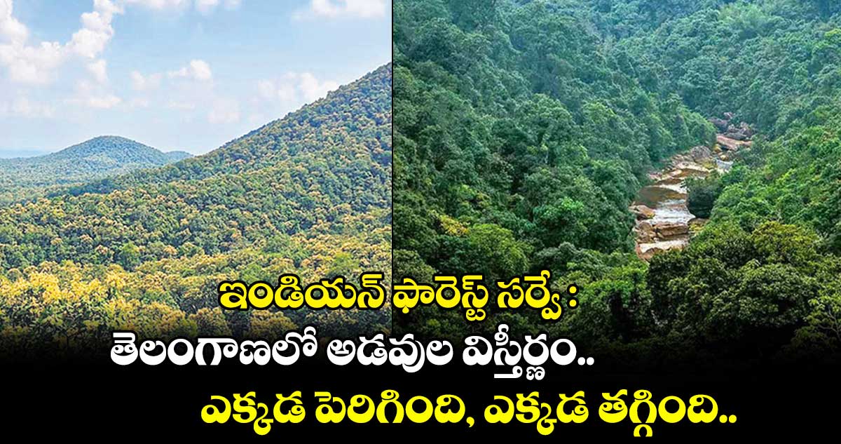 ఇండియన్ ఫారెస్ట్​ సర్వే: తెలంగాణలో అడవుల విస్తీర్ణం.. ఎక్కడ పెరిగింది, ఎక్కడ తగ్గింది.. 