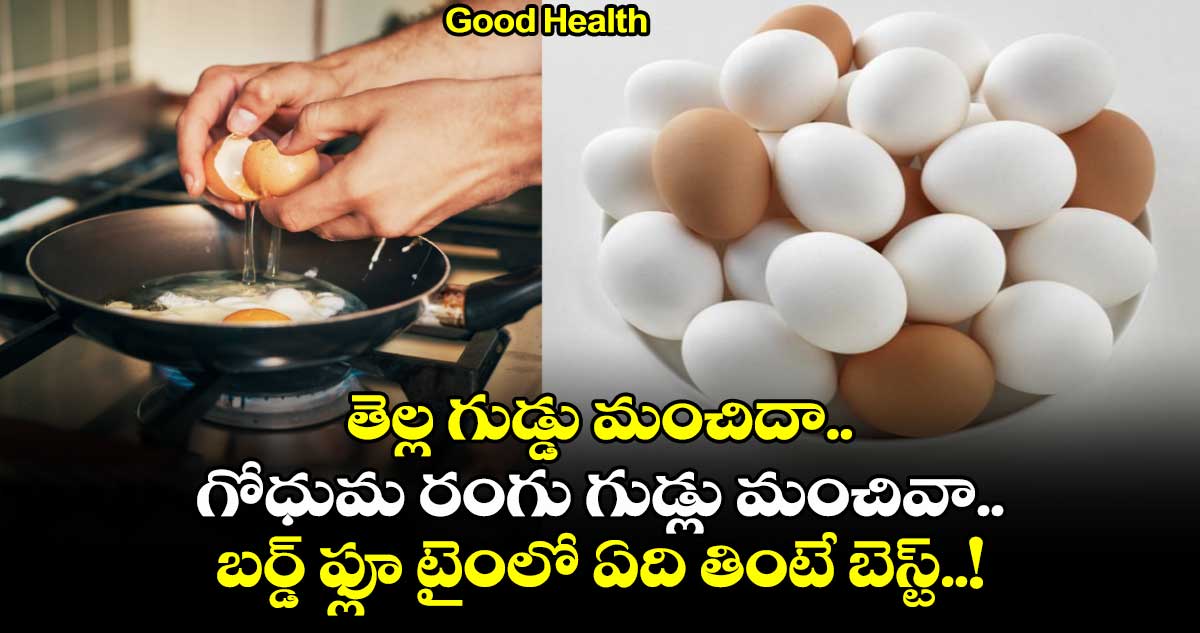 Good Health : తెల్ల గుడ్డు మంచిదా.. గోధుమ రంగు గుడ్లు మంచివా.. బర్డ్ ఫ్లూ టైంలో ఏది తింటే బెస్ట్..!