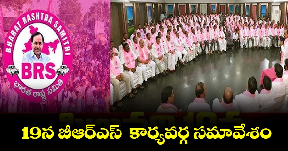 19న బీఆర్‌‌‌‌ఎస్  కార్యవర్గ సమావేశం