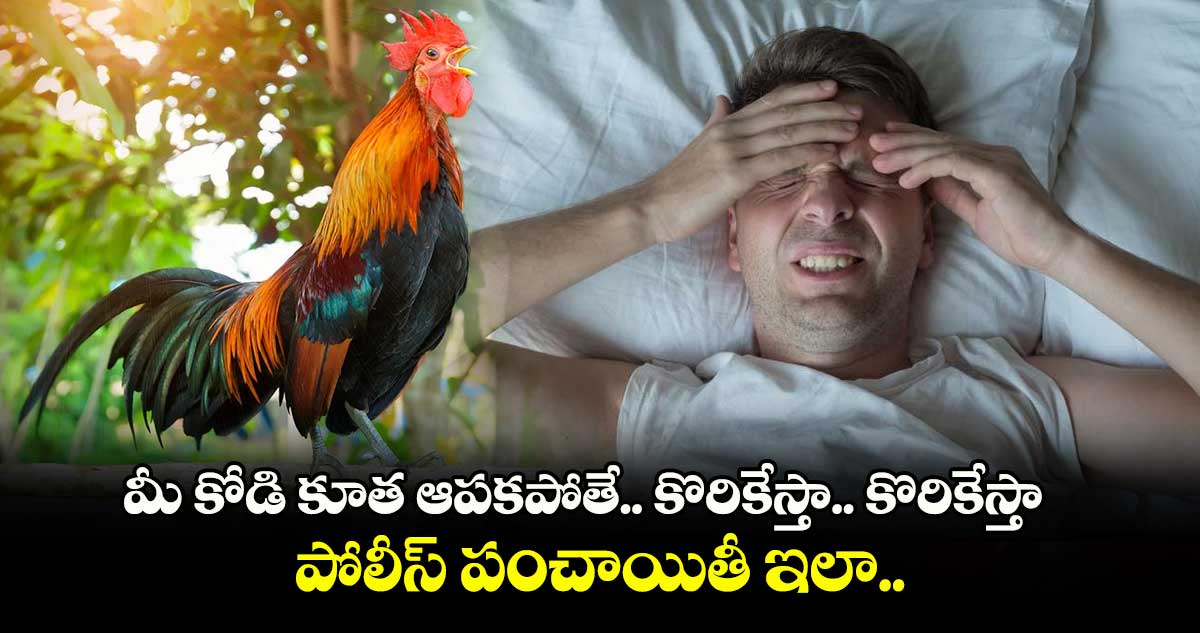 మీ కోడి కూత ఆపకపోతే.. కొరికేస్తా.. కొరికేస్తా : పోలీస్ పంచాయితీ ఇలా..