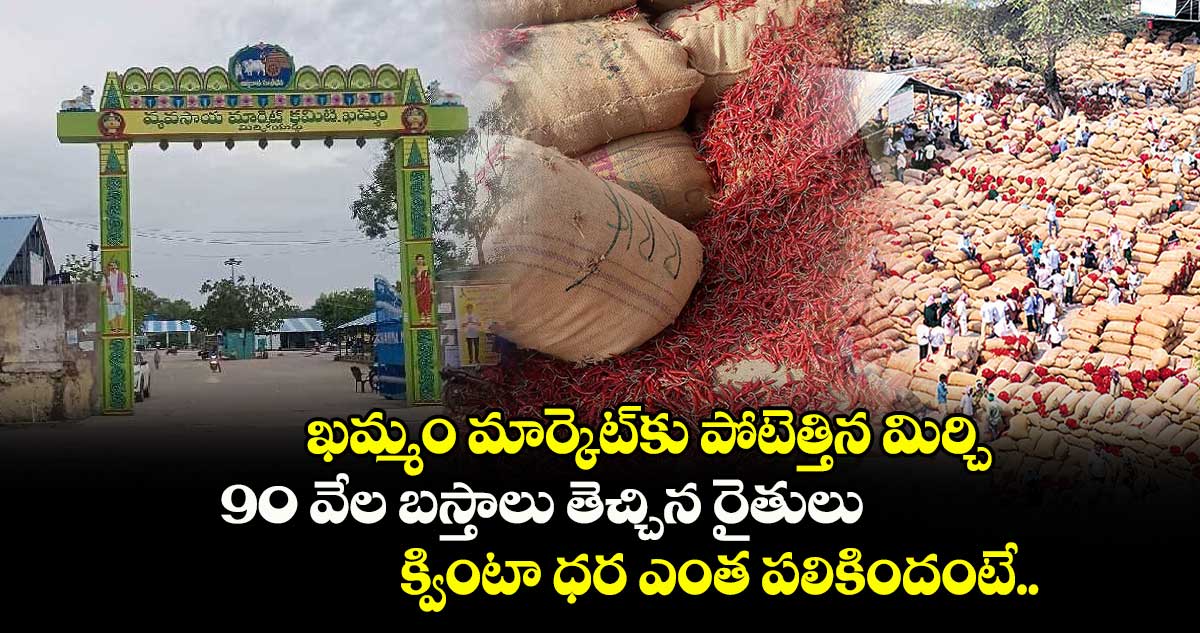 ఖమ్మం మార్కెట్⁬కు పోటెత్తిన మిర్చి.. 90 వేల బస్తాలు తెచ్చిన రైతులు.. క్వింటా ధర ఎంత పలికిందంటే..