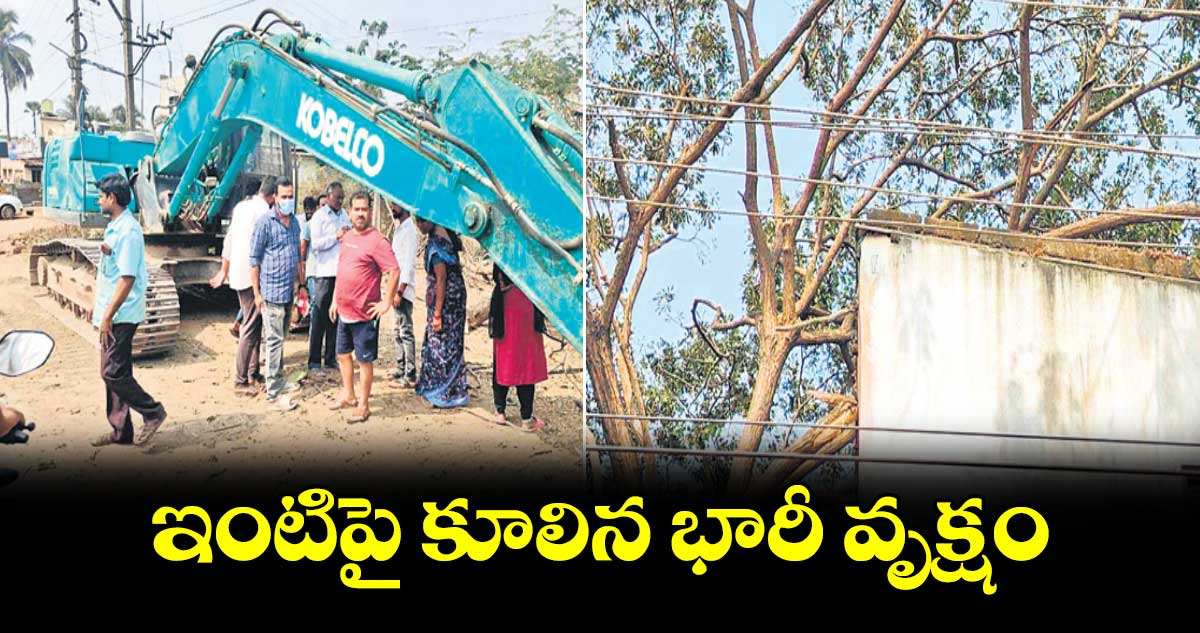 ఇంటిపై కూలిన భారీ వృక్షం