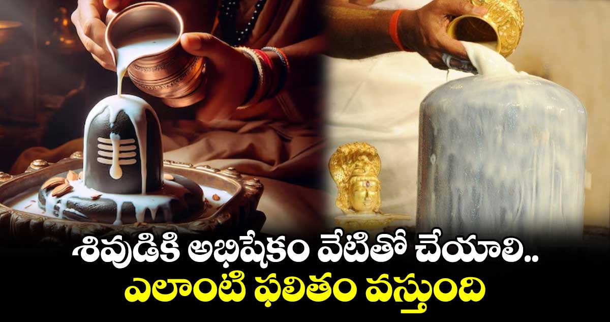 Mahasivaratri 2025: శివుడికి అభిషేకం వేటితో చేయాలి.. ఎలాంటి ఫలితం వస్తుంది.