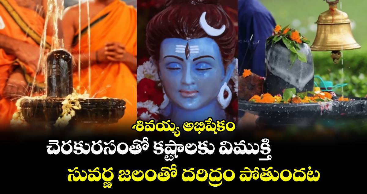 శివయ్య అభిషేకం : చెరకురసంతో కష్టాలకు విముక్తి.. సువర్ణ జలంతో దరిద్రం పోతుందట..