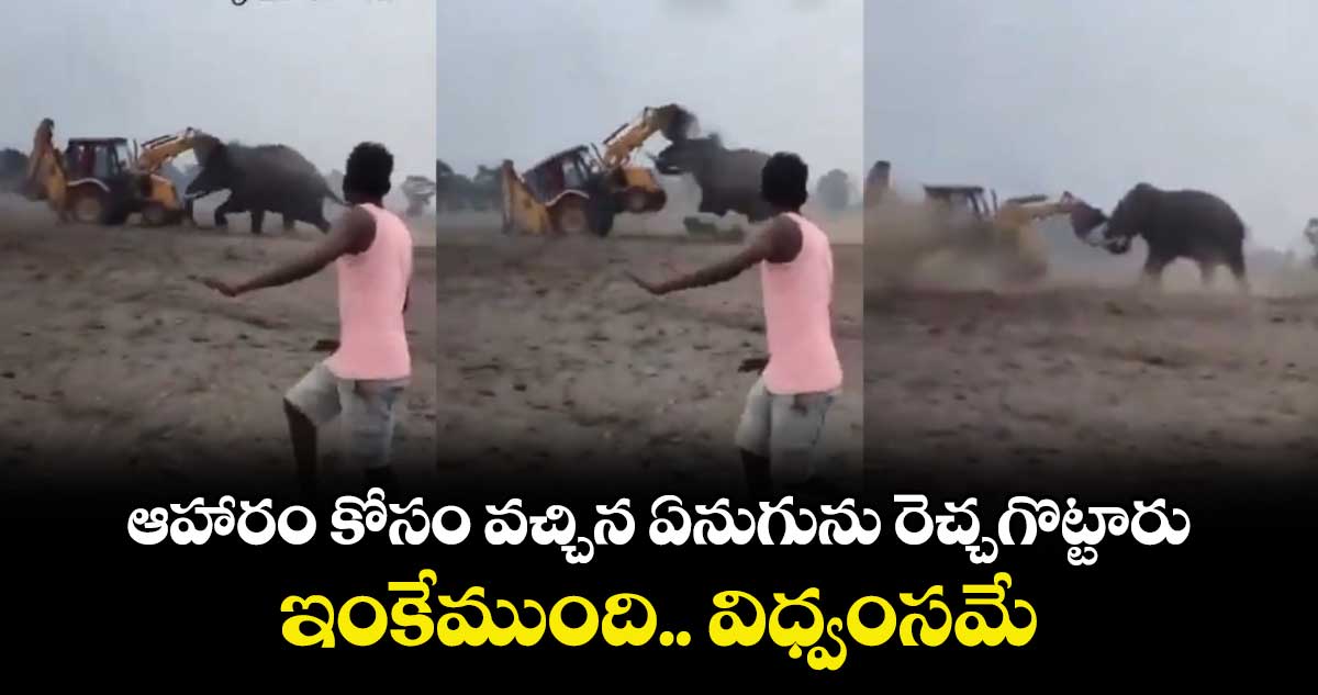 Viral Video: ఆహారం కోసం వచ్చిన ఏనుగును రెచ్చగొట్టారు.. ఇంకేముంది.. విధ్వంసమే.. 