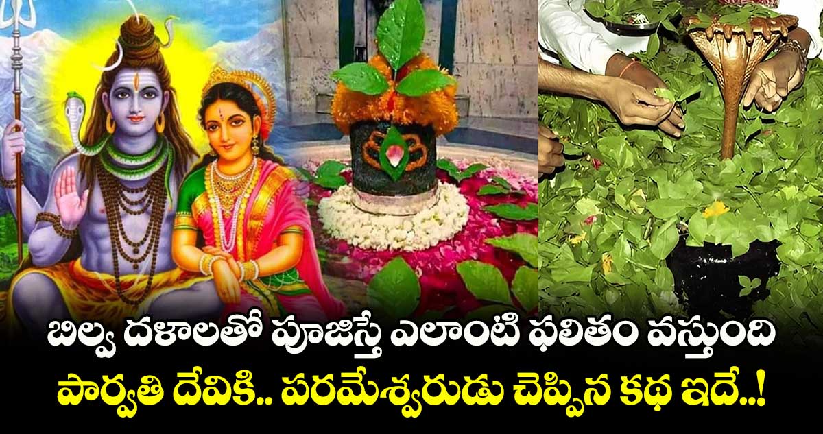 Mahasivaratri 2025: బిల్వ దళాలతో పూజిస్తే ఎలాంటి ఫలితం వస్తుంది.. పార్వతి దేవికి.. పరమేశ్వరుడు చెప్పిన  కథ ఇదే..!