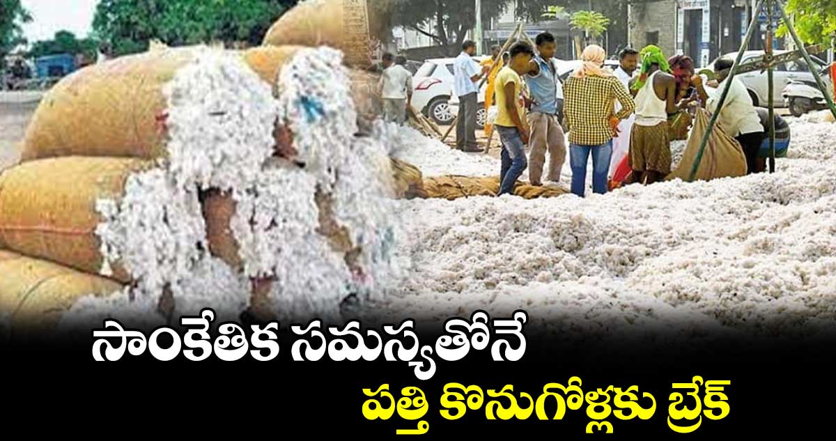 సాంకేతిక సమస్యతోనే పత్తి కొనుగోళ్లకు బ్రేక్ : ఎండీ షాబొద్దీన్ 