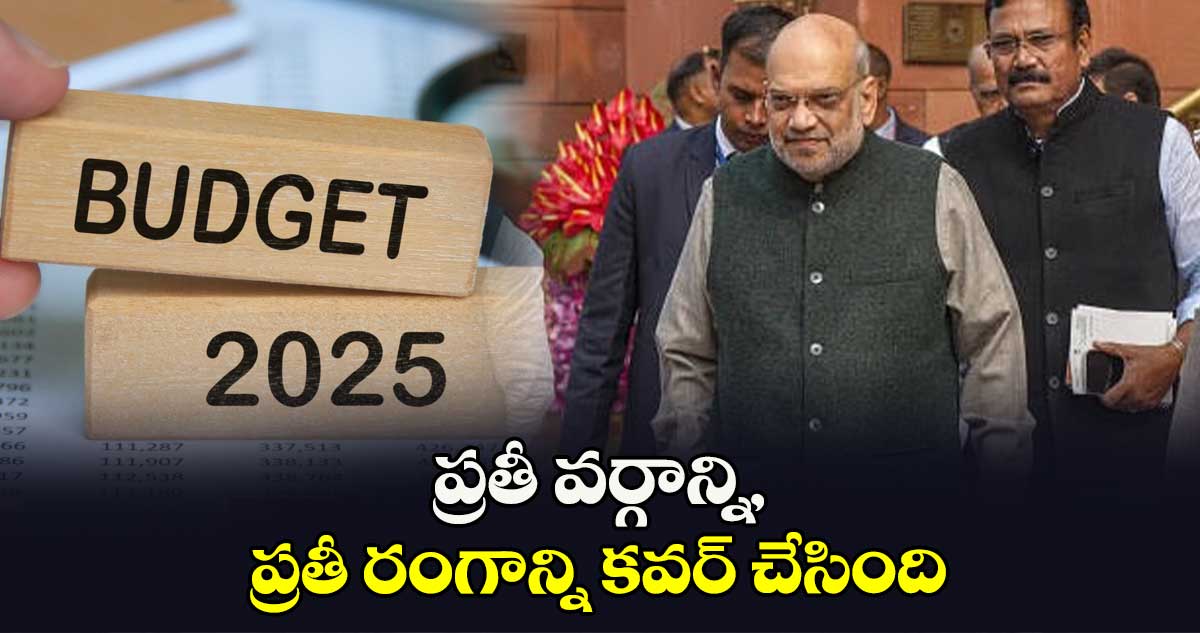 ప్రతీ వర్గాన్ని, ప్రతీ రంగాన్ని కవర్ చేసింది: అమిత్ షా