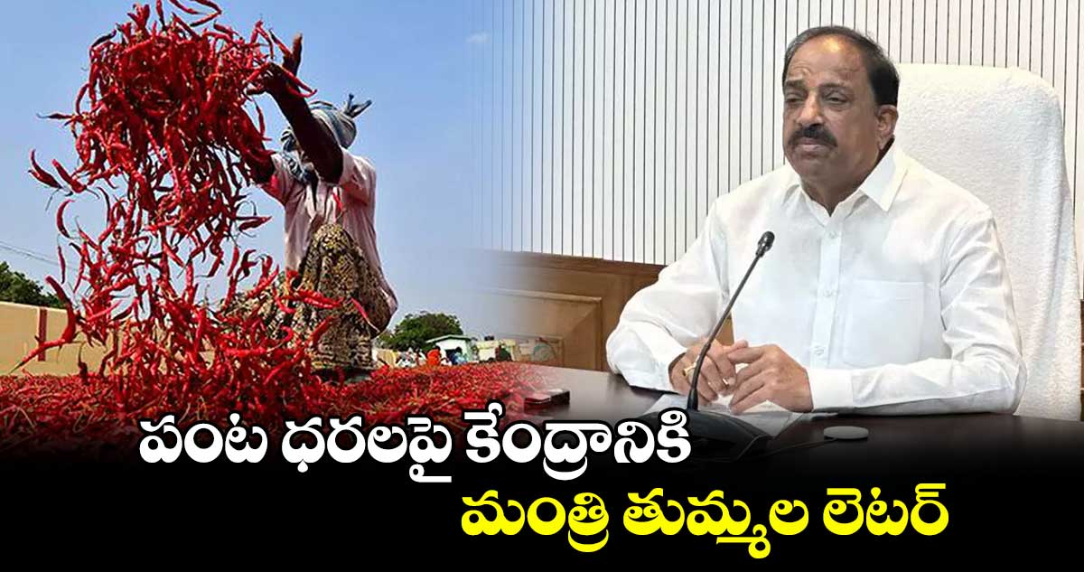 పంట ధరలపై కేంద్రానికి మంత్రి తుమ్మల లెటర్