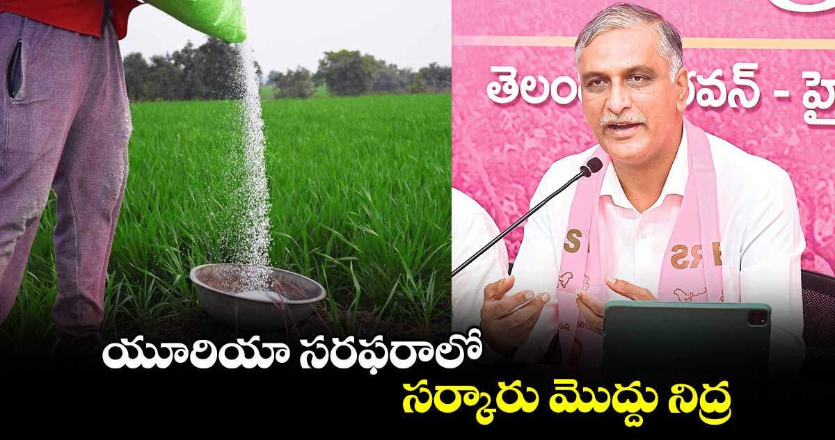 యూరియా సరఫరాలో సర్కారు మొద్దు నిద్ర :హరీశ్ రావు