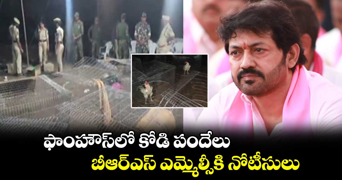 ఫాంహౌస్⁬లో కోడి పందేలు..బీఆర్ఎస్ ఎమ్మెల్సీకి నోటీసులు