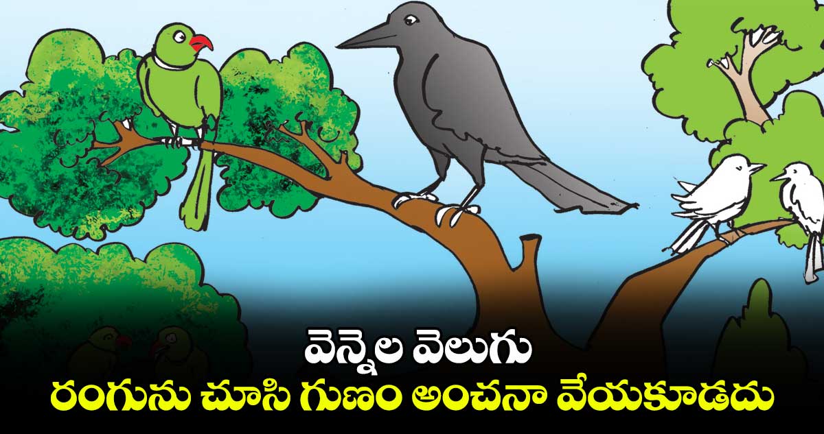 వెన్నెల వెలుగు: రంగును చూసి గుణం అంచనా వేయకూడదు