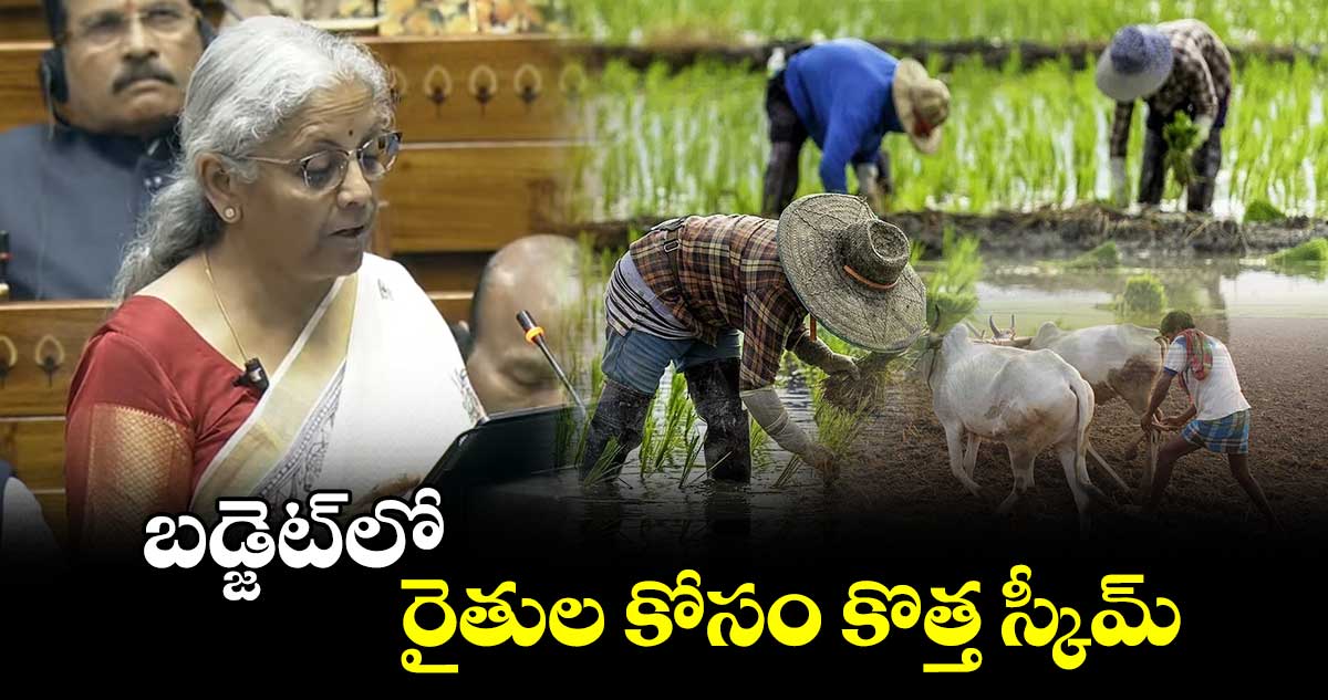 Union Budget 2025-26: బడ్జెట్⁭లో రైతుల కోసం కొత్త స్కీమ్..