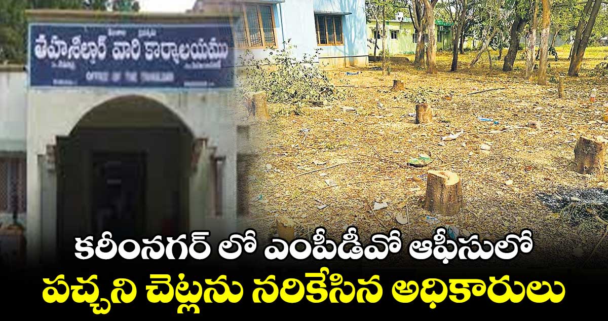 కరీంనగర్ లో ఎంపీడీవో ఆఫీసులో పచ్చని చెట్లను నరికేసిన అధికారులు..