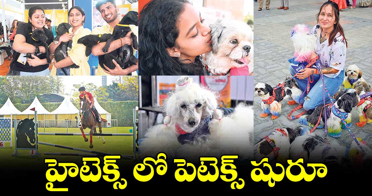 హైటెక్స్ లో పెటెక్స్ షురూ..