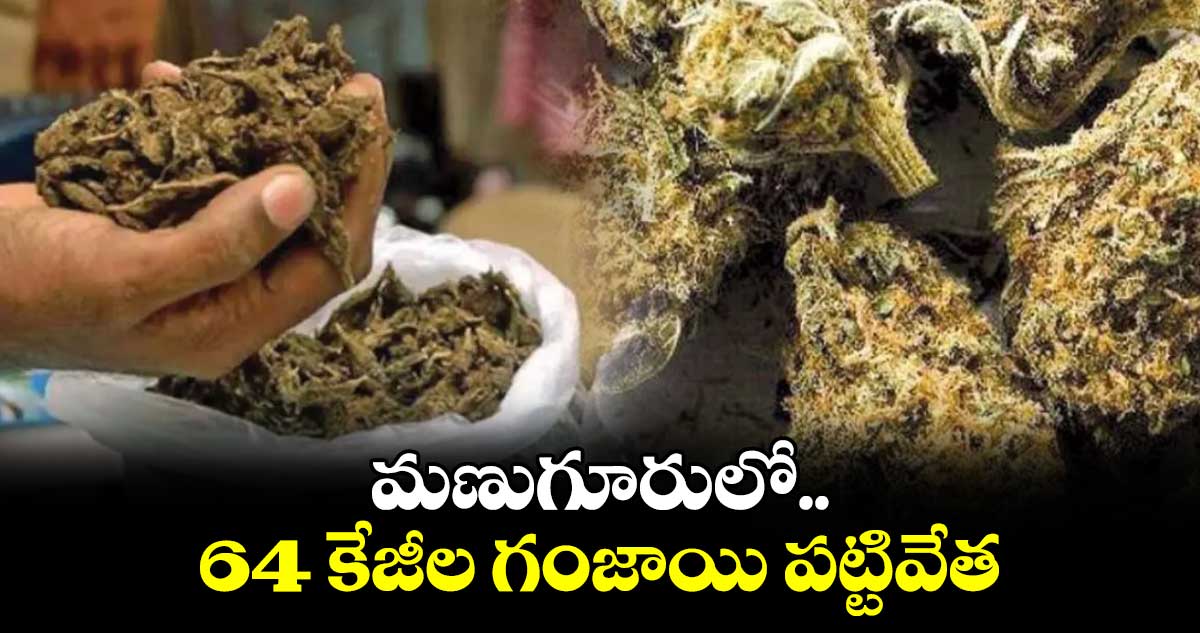 మణుగూరులో 64 కేజీల గంజాయి పట్టివేత 