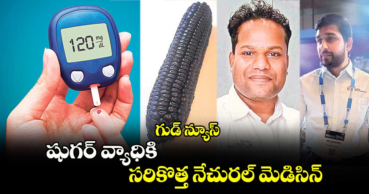 గుడ్ న్యూస్ : షుగర్  వ్యాధికి  సరికొత్త​ నేచురల్ మెడిసిన్