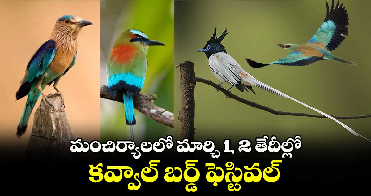 మంచిర్యాలలో మార్చి 1, 2 తేదీల్లో కవ్వాల్​ బర్డ్​ ఫెస్టివల్