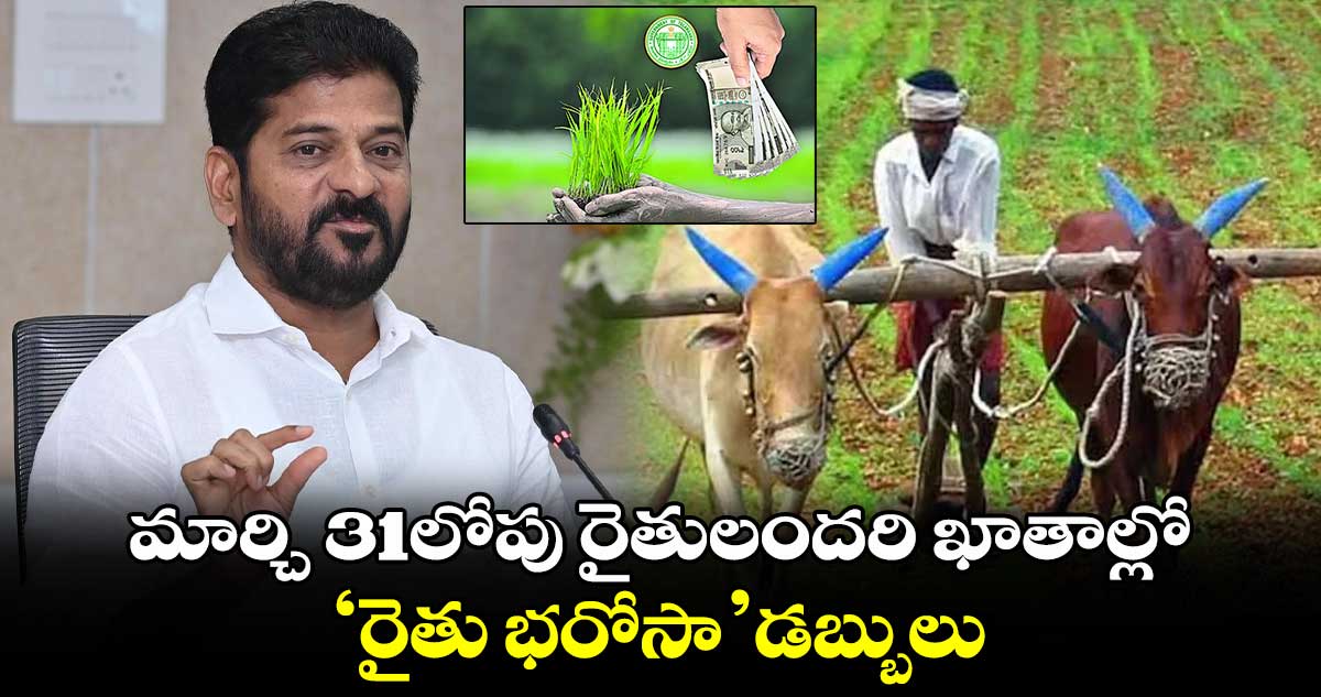 మార్చి 31లోపు రైతులందరి ఖాతాల్లో ‘రైతు భరోసా’ డబ్బులు: సీఎం రేవంత్