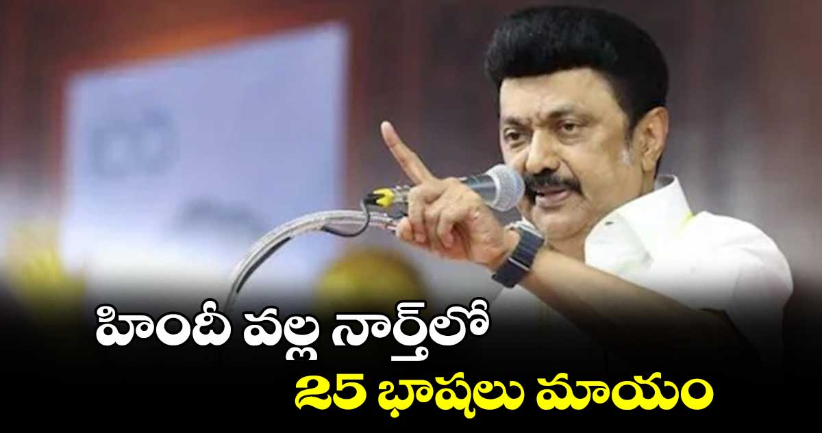 హిందీ వల్ల నార్త్⁬​లో 25 భాషలు మాయం: ఎంకే స్టాలిన్