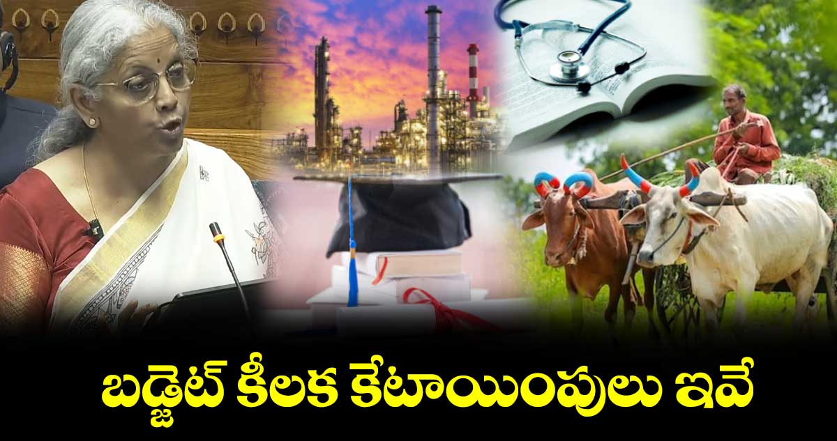 Union Budget 2025: బడ్జెట్ కీలక కేటాయింపులు ఇవే.. 