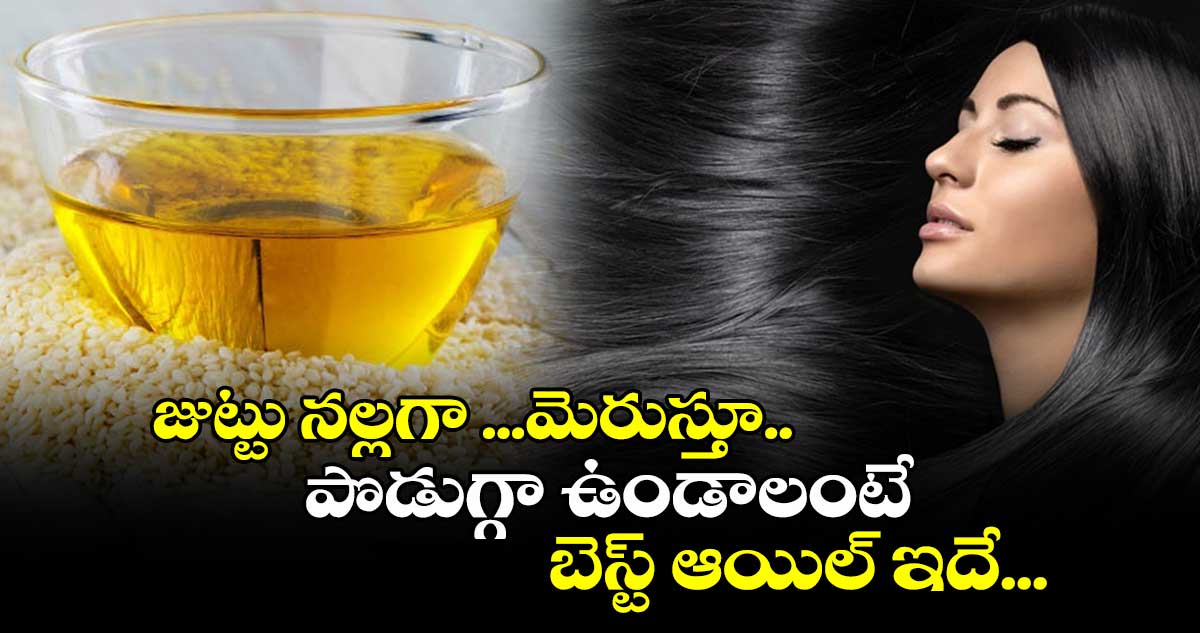 Hair  Beauty:  జుట్టు నల్లగా ...మెరుస్తూ.. పొడుగ్గా ఉండాలంటే .. బెస్ట్​ ఆయిల్​ ఇదే...