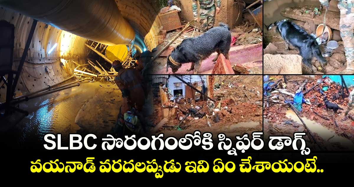 SLBC సొరంగంలోకి స్నిఫర్ డాగ్స్⁬.. వయనాడ్⁬ వరదలప్పుడు ఇవి ఏం చేశాయంటే..