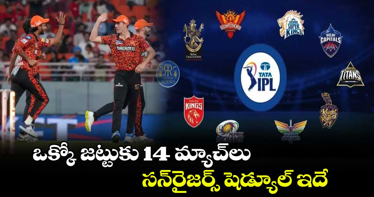 IPL 2025: ఒక్కో జట్టుకు 14 మ్యాచ్‌లు.. సన్‌రైజర్స్‌ షెడ్యూల్ ఇదే