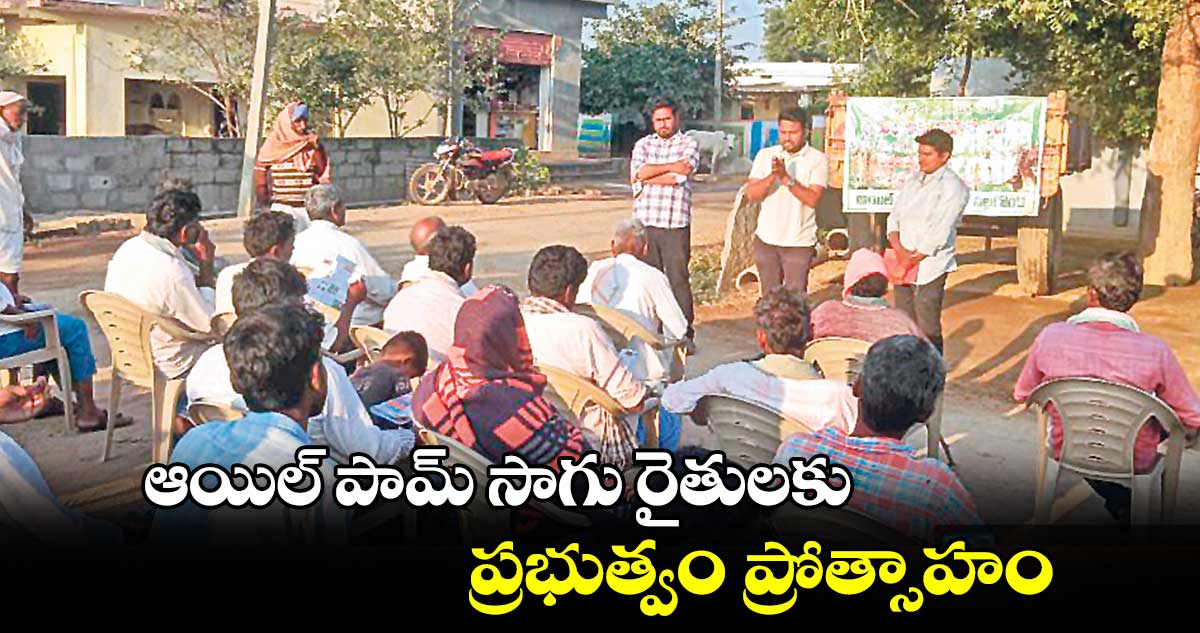 ఆయిల్ పామ్ సాగు రైతులకు ప్రభుత్వం  ప్రోత్సాహం