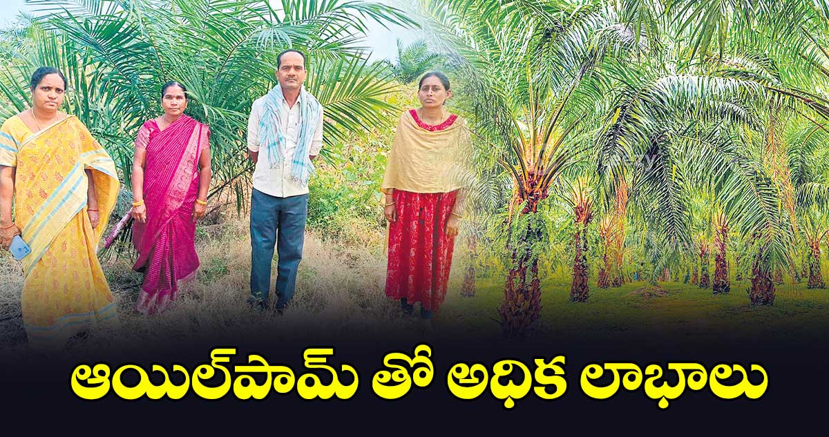 ఆయిల్​పామ్ తో అధిక లాభాలు