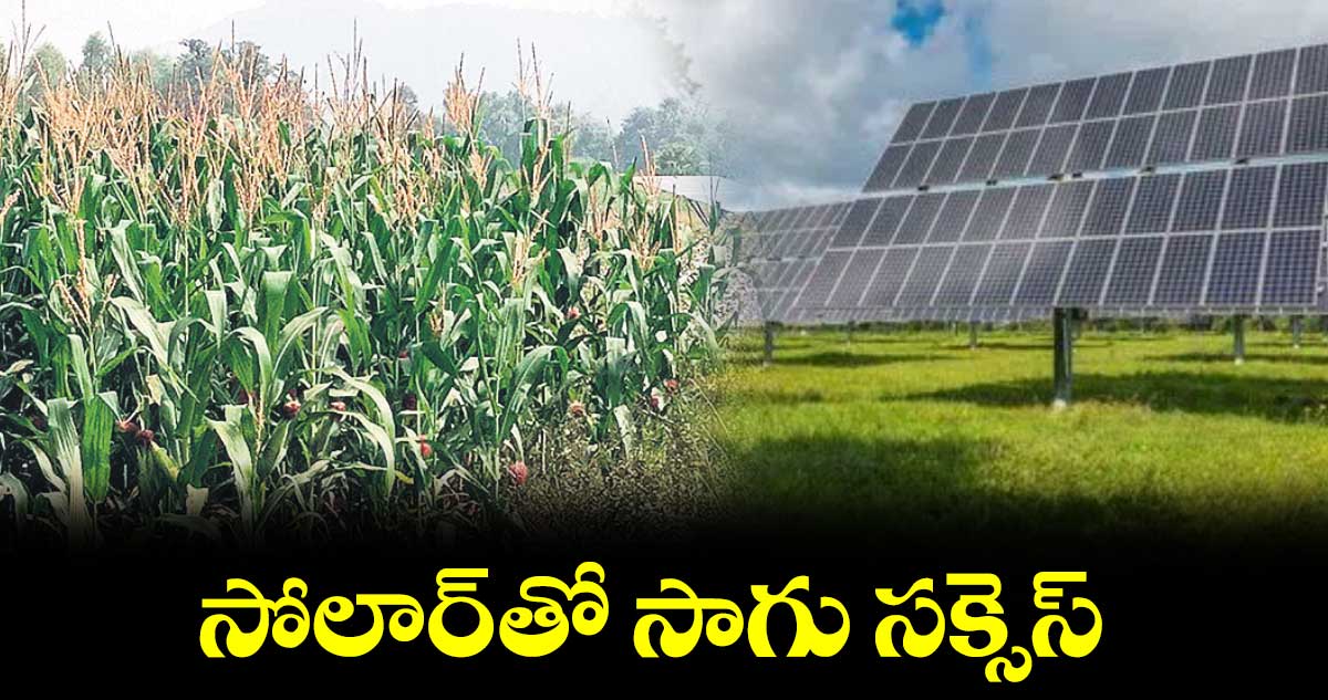 సోలార్ తో సాగు సక్సెస్​