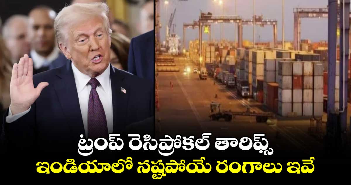 Trumps reciprocal tariffs: ట్రంప్ రెసిప్రోకల్ తారిఫ్స్.. ఇండియాలో నష్టపోయే రంగాలు ఇవే  