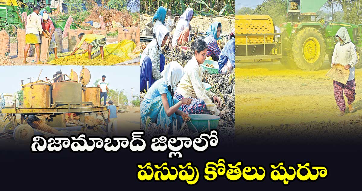  నిజామాబాద్ జిల్లాలో పసుపు కోతలు షురూ