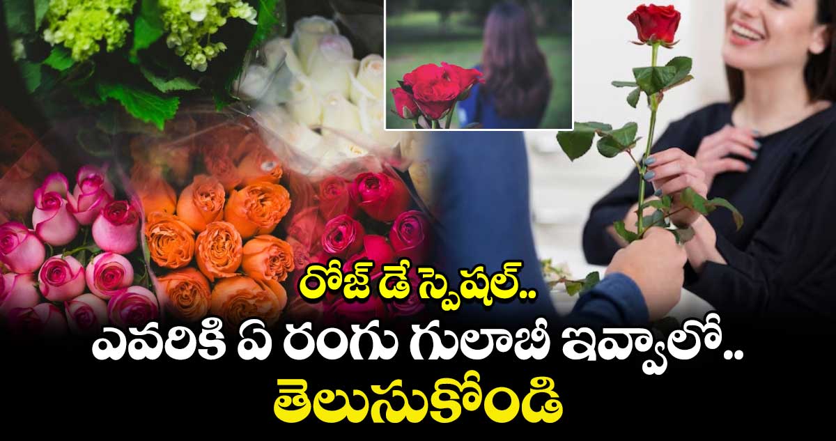 Valentine’s Week 2025: రోజ్ డే స్పెషల్.. ఎవరికి ఏ రంగు గులాబీ ఇవ్వాలో తెలుసుకోండి