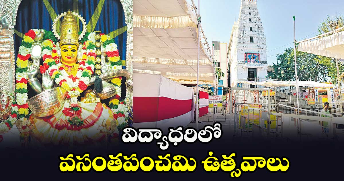 విద్యాధరిలో వసంతపంచమి ఉత్సవాలు