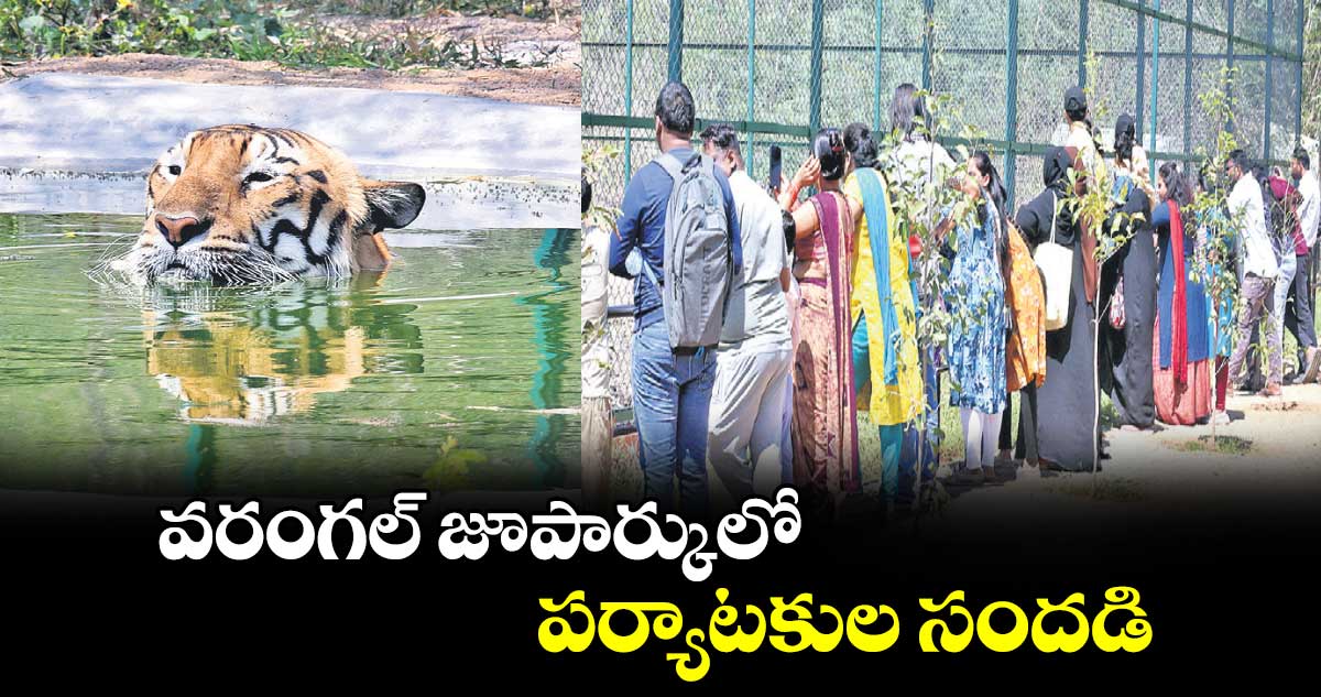 వరంగల్ జూపార్కులో పర్యాటకుల సందడి