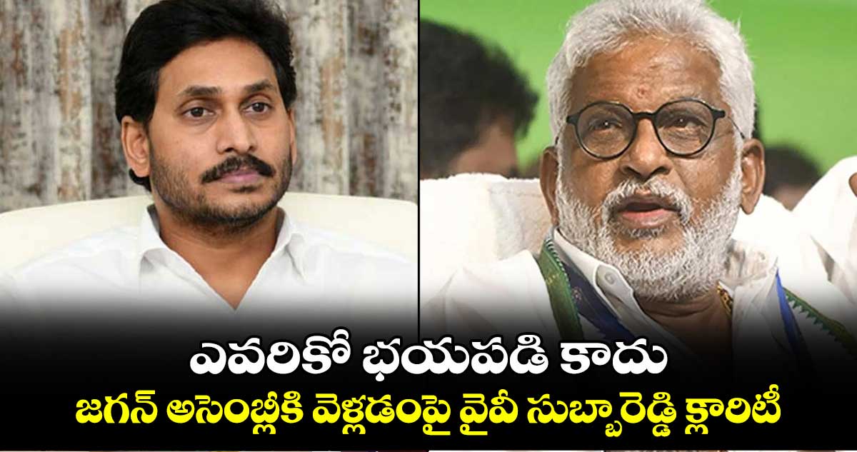 ఎవరికో భయపడి కాదు.. జగన్ అసెంబ్లీకి వెళ్లడంపై వైవీ సుబ్బారెడ్డి క్లారిటీ