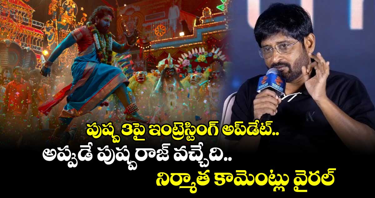 Pushpa 3: పుష్ప 3పై ఇంట్రెస్టింగ్ అప్‌డేట్.. అప్పుడే పుష్పరాజ్ వచ్చేది.. నిర్మాత కామెంట్లు వైరల్