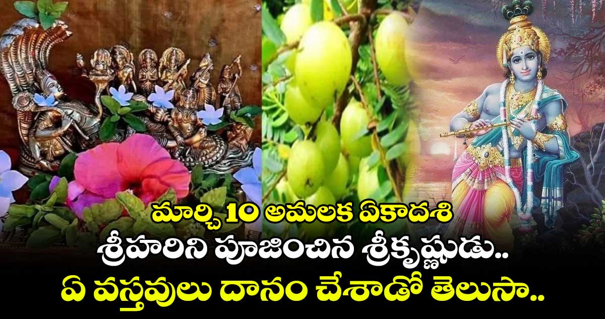 మార్చి 10 అమలక ఏకాదశి:  శ్రీహరిని పూజించిన శ్రీకృష్ణుడు.. ఏ వస్తవులు దానం చేశాడో తెలుసా..