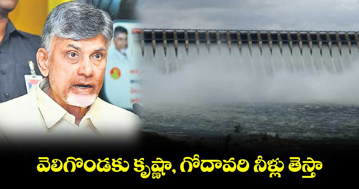 వెలిగొండకు కృష్ణా, గోదావరి నీళ్లు తెస్తా: ఏపీ సీఎం చంద్రబాబు