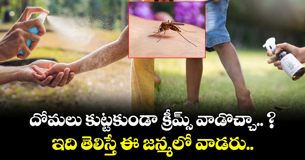 దోమలు కుట్టకుండా క్రీమ్స్ వాడొచ్చా.. ? ఇది తెలిస్తే ఈ జన్మలో వాడరు.. 