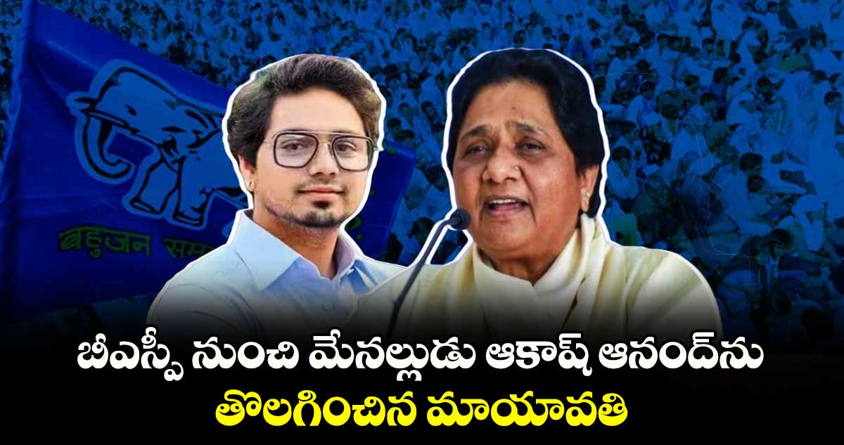 బీఎస్పీ నుంచి మేనల్లుడు ఆకాష్‌ ఆనంద్‌⁬ను తొలగించిన మాయావతి