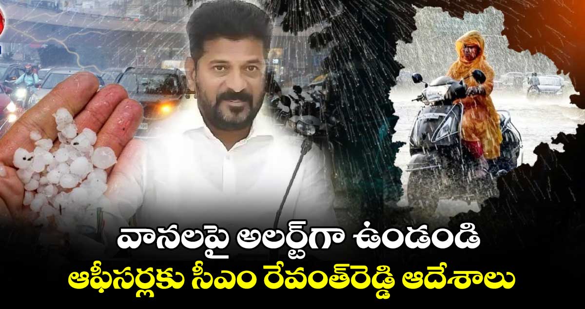 వానలపై అలర్ట్‌‌గా ఉండండి..ఆఫీసర్లకు సీఎం రేవంత్‌‌రెడ్డి ఆదేశాలు 