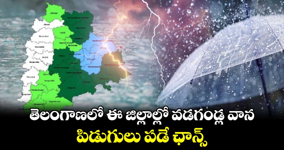 Rain Alert: తెలంగాణలో ఈ జిల్లాల్లో వడగండ్ల వాన..పిడుగులు పడే ఛాన్స్