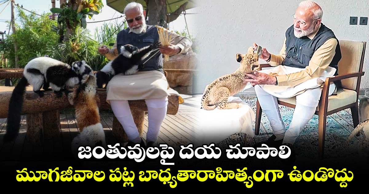 జంతువులపై దయ చూపాలి.. మూగజీవాల పట్ల బాధ్యతారాహిత్యంగా ఉండొద్దు: ప్రధాని మోదీ