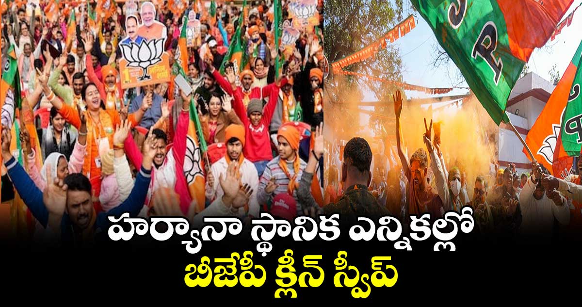 హర్యానా స్థానిక ఎన్నికల్లో బీజేపీ క్లీన్ స్వీప్ 