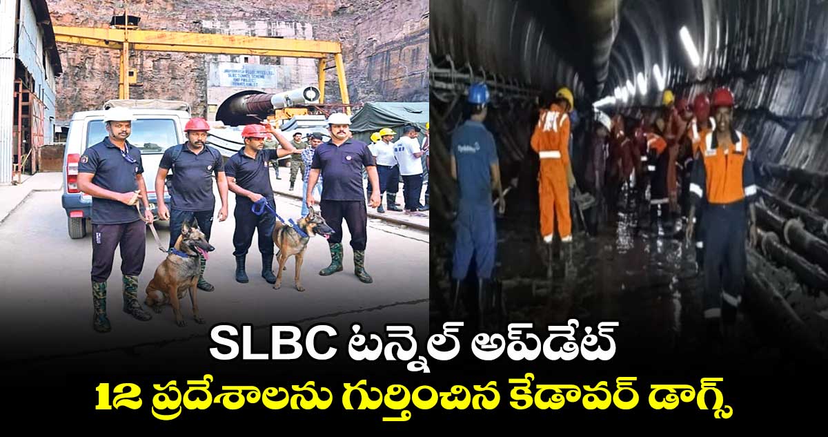 SLBC టన్నెల్​ అప్​డేట్​:  12 ప్రదేశాలను గుర్తించిన కేడావర్ డాగ్స్