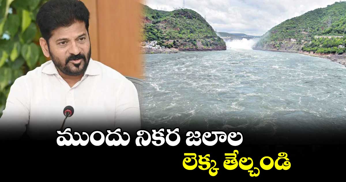  ముందు నికర జలాల లెక్క తేల్చండి : సీఎం రేవంత్ రెడ్డి