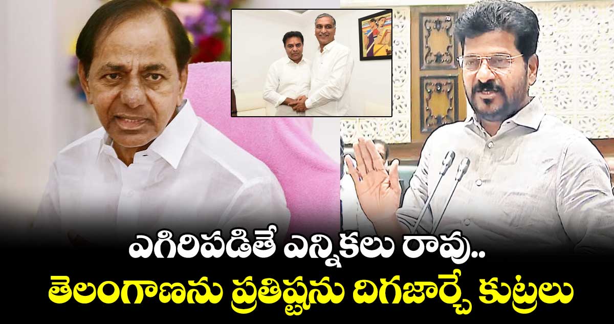 ఎగిరిపడితే ఎన్నికలు రావు..తెలంగాణను ప్రతిష్టను దిగజార్చే కుట్రలు