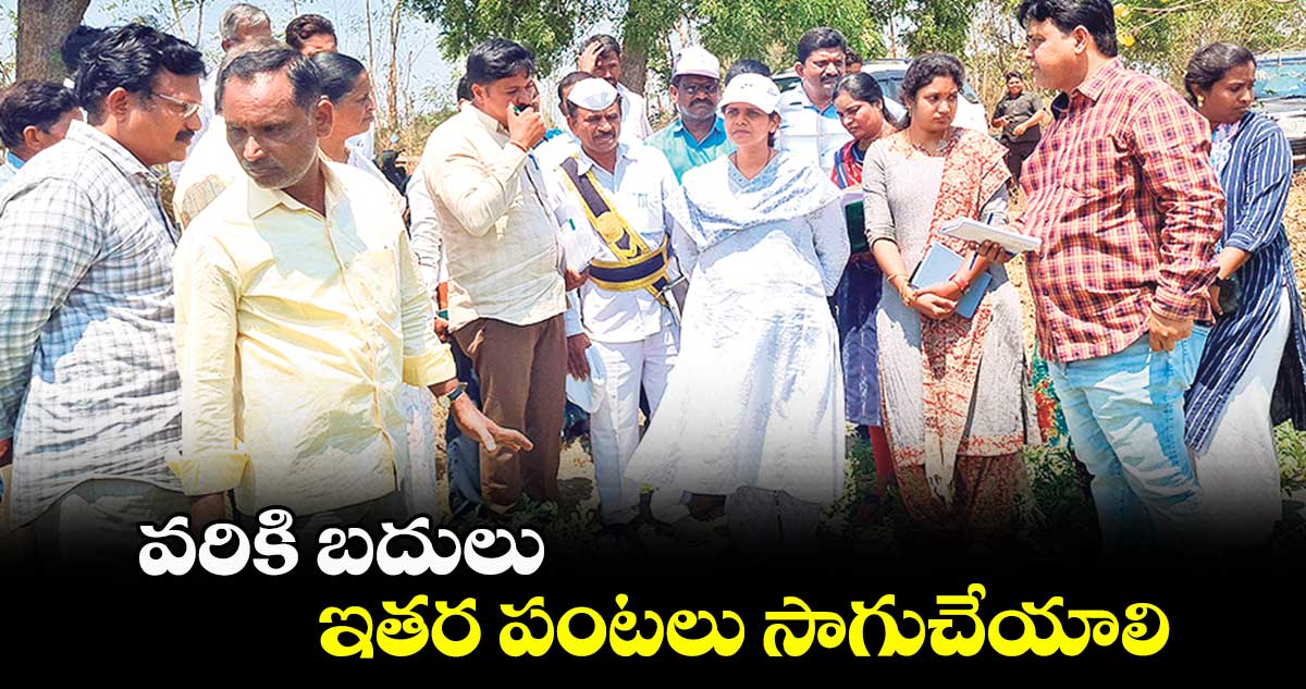 వరికి బదులు ఇతర పంటలు సాగుచేయాలి :  త్రిపాఠి 